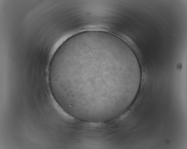 X0000111521196200907281331