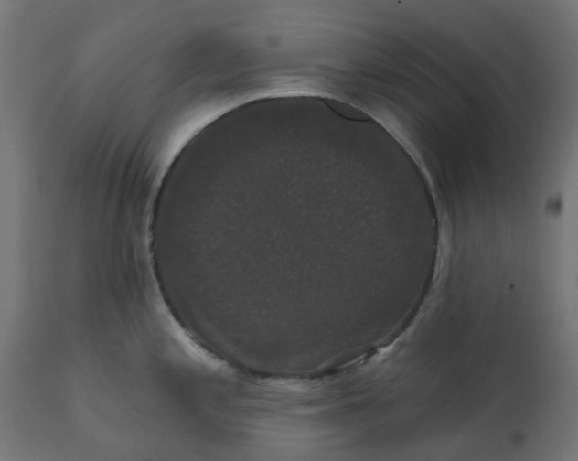 X0000111521197200907281331
