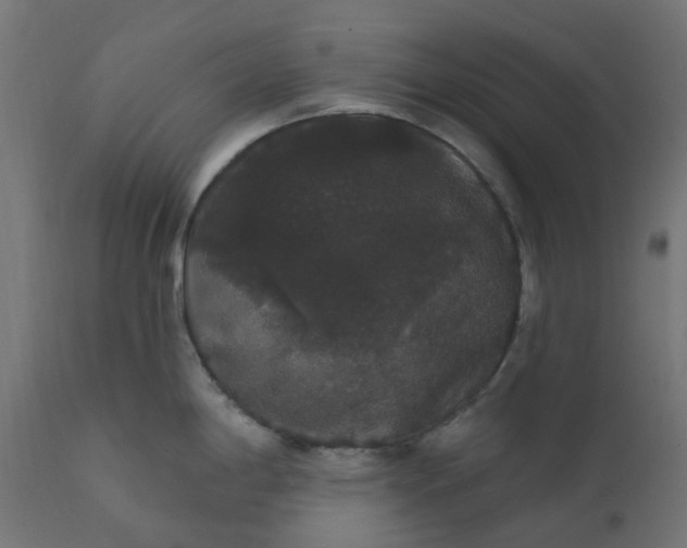 X0000111521198200907281331