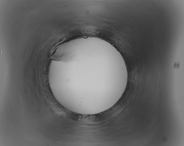 X0000111521201200907281330