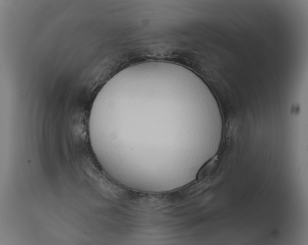 X0000111521202200907281330