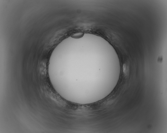X0000111521203200907281330