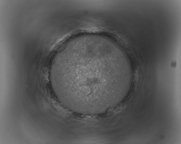 X0000111521205200907281330