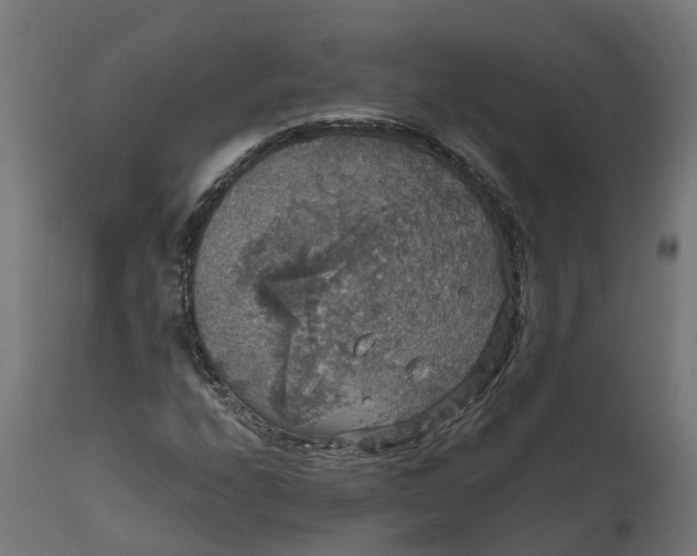 X0000111521208200907281330