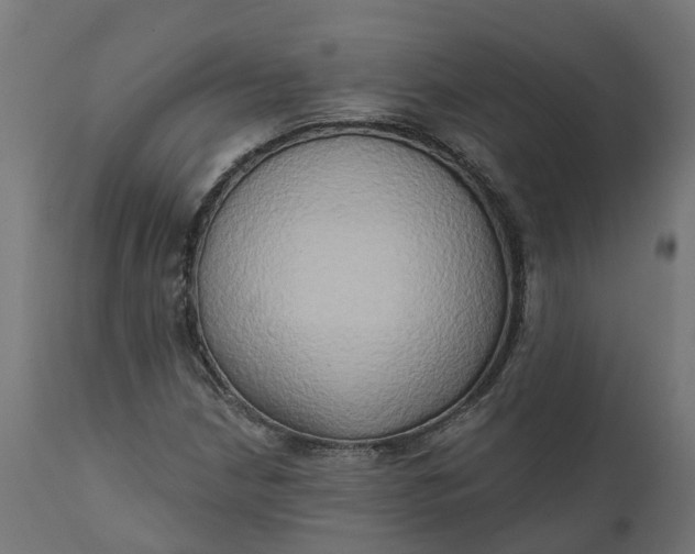 X0000111521210200907281330