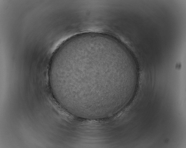 X0000111521214200907281330