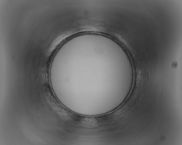 X0000111521215200907281330