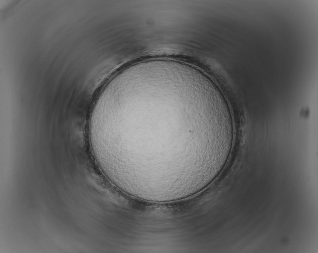 X0000111521217200907281330