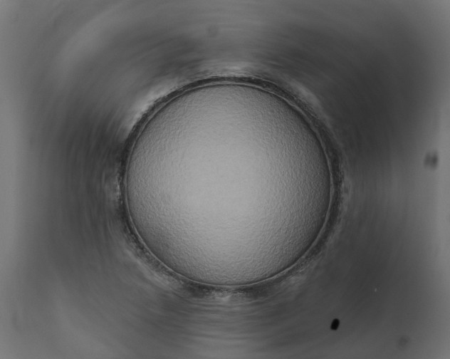 X0000111521218200907281330