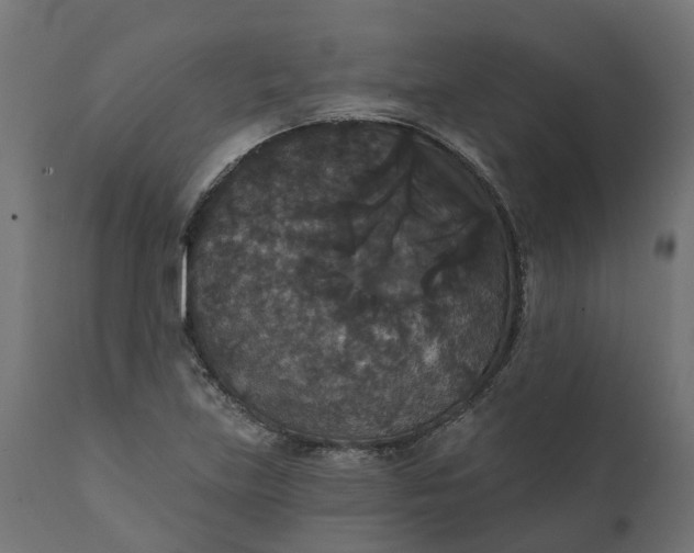 X0000111521219200907281330