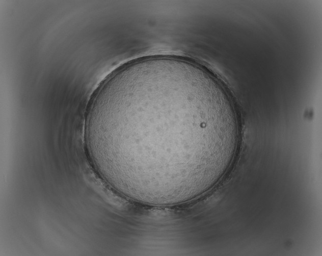 X0000111521220200907281330