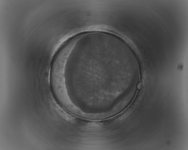 X0000111521224200907281330
