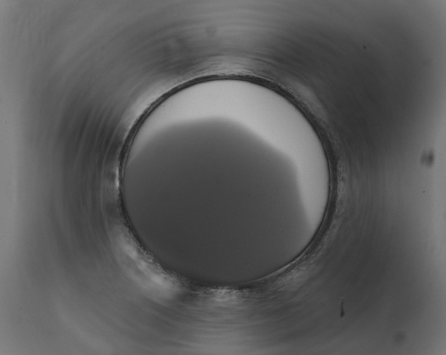 X0000111521226200907281331