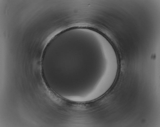 X0000111521229200907281331