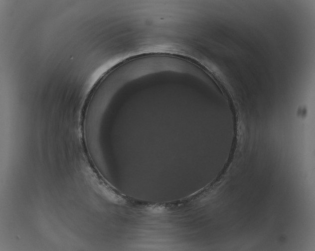 X0000111521230200907281331