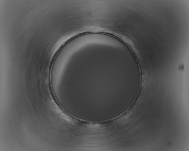 X0000111521231200907281331