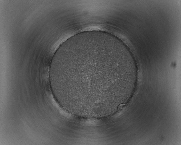 X0000111521233200907281331