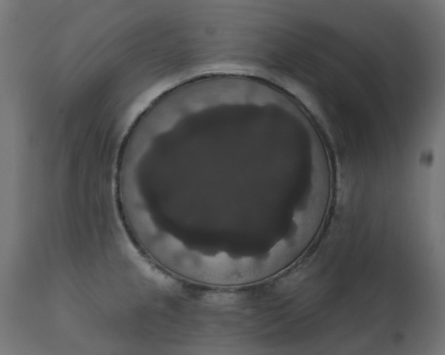 X0000111521237200907281331
