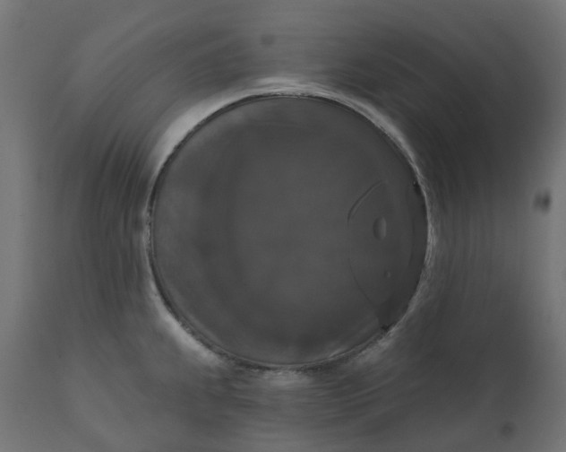 X0000111521239200907281331