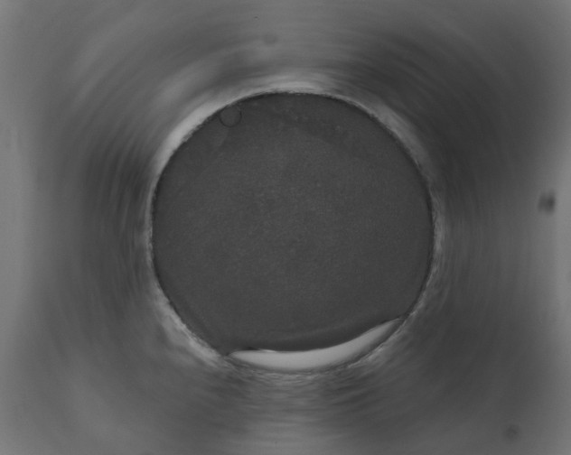 X0000111521240200907281331