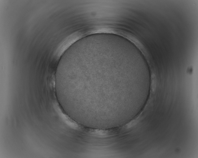 X0000111521241200907281331
