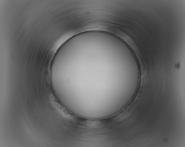 X0000111521242200907281331