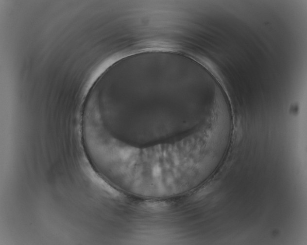 X0000111521243200907281331