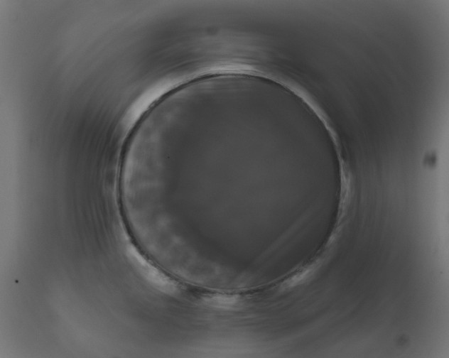 X0000111521245200907281331