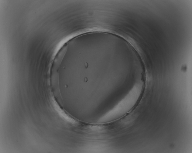 X0000111521246200907281331