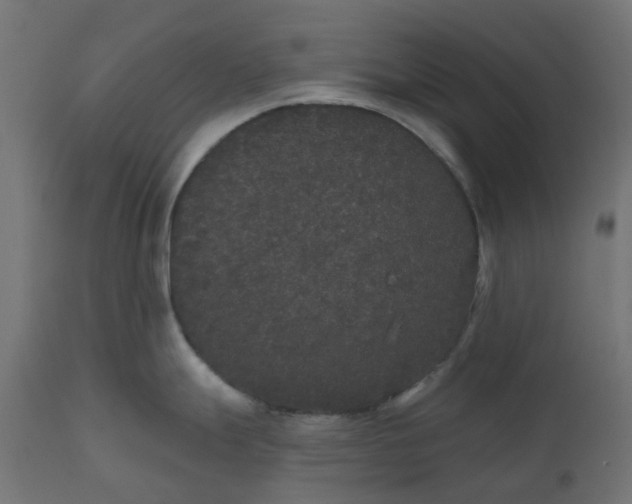 X0000111521247200907281331