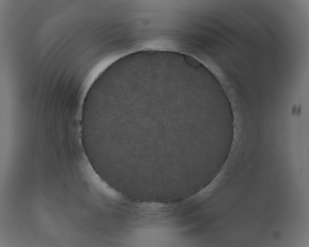 X0000111521248200907281331