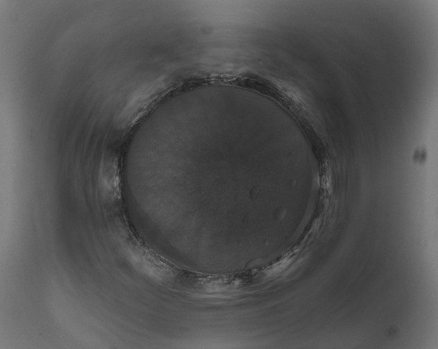 X0000111521252200907281330