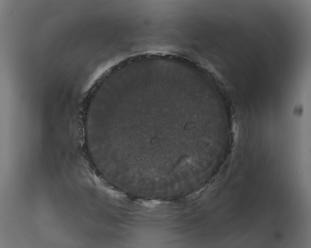 X0000111521256200907281330