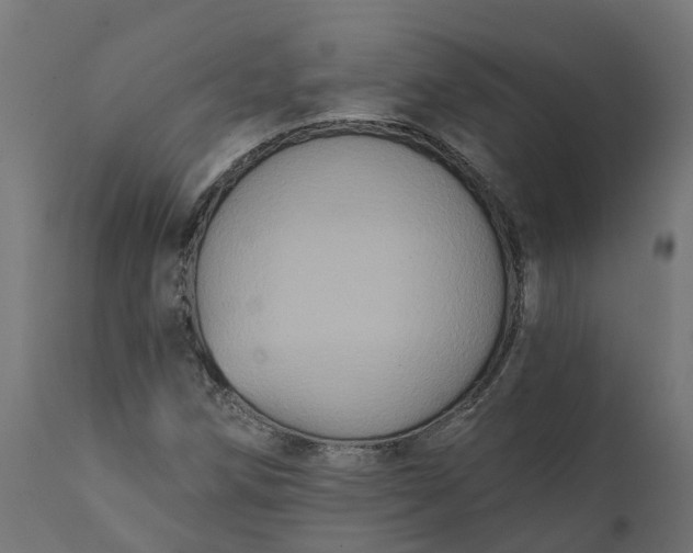 X0000111521258200907281330