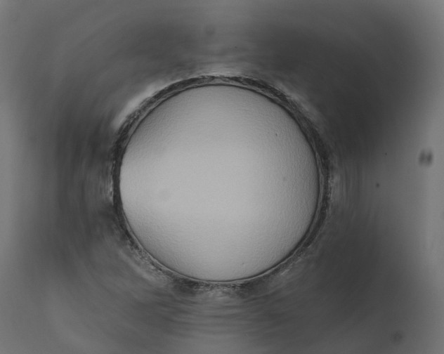 X0000111521262200907281330