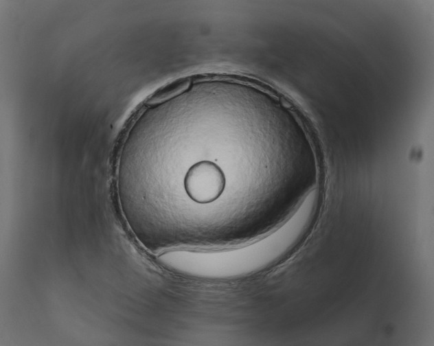 X0000111521264200907281330