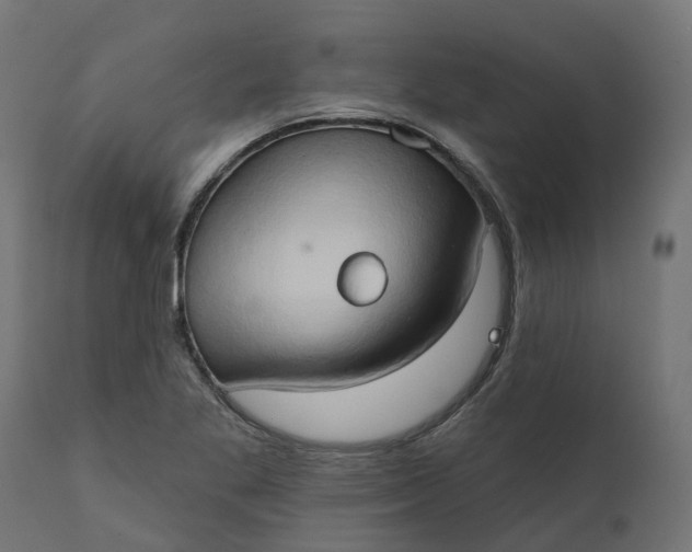 X0000111521269200907281330