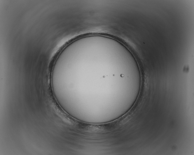 X0000111521270200907281330