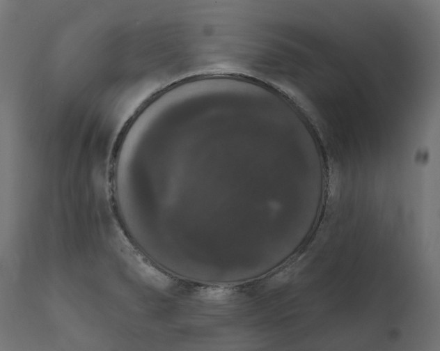 X0000111521278200907281330