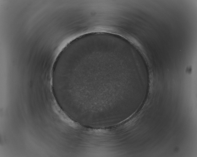 X0000111521280200907281330