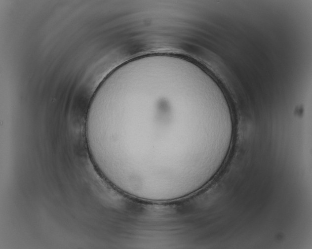 X0000111521281200907281330