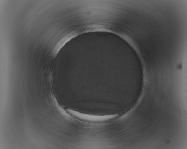 X0000111521289200907281329
