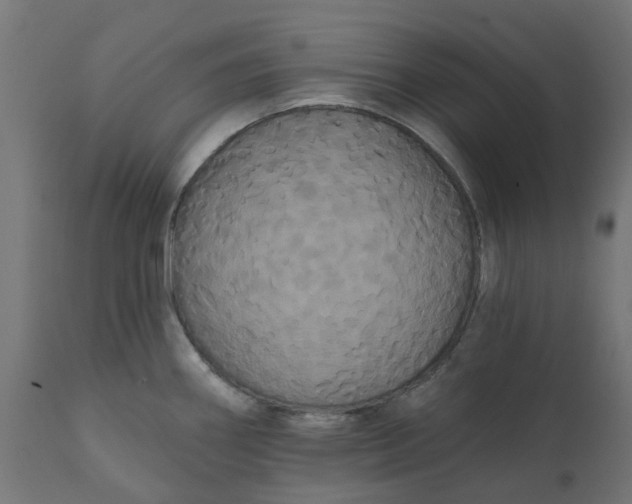 X0000111521290200907281329
