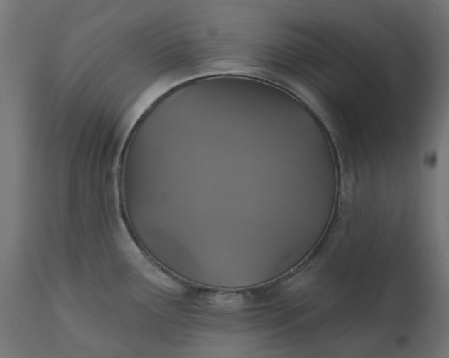 X0000111521291200907281329