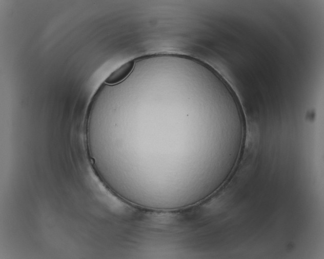 X0000111521293200907281329