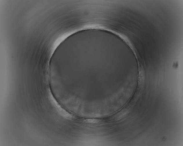 X0000111521295200907281329