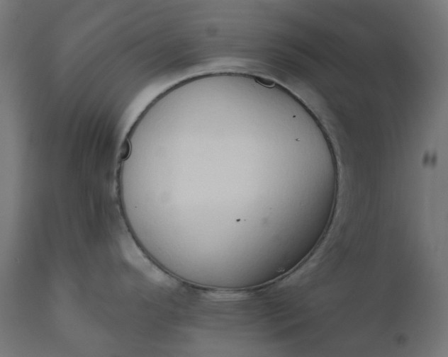 X0000111521296200907281329