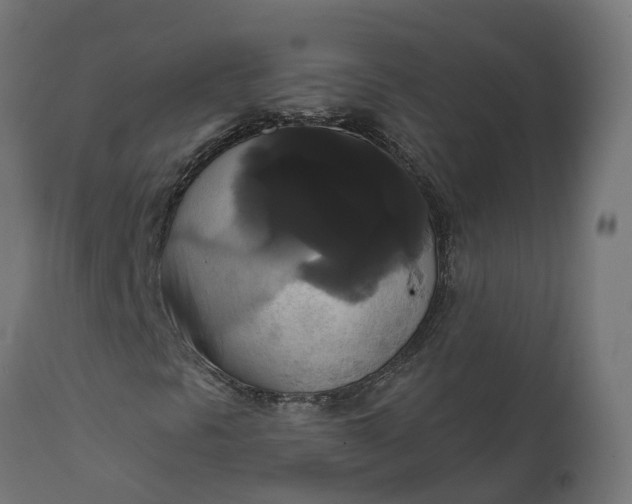 X0000111521297200907281329