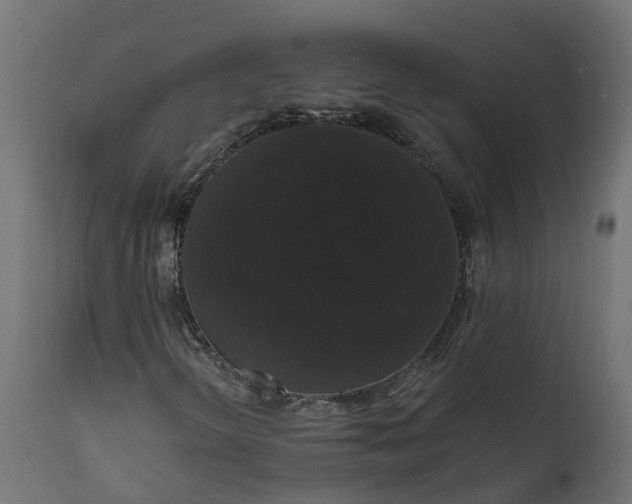 X0000111521298200907281329