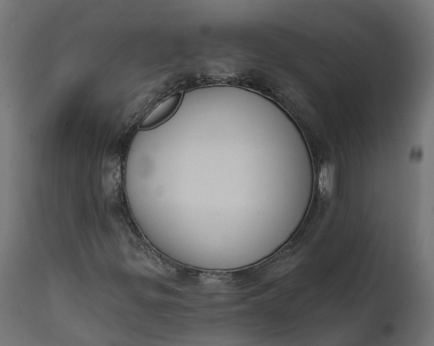 X0000111521299200907281329